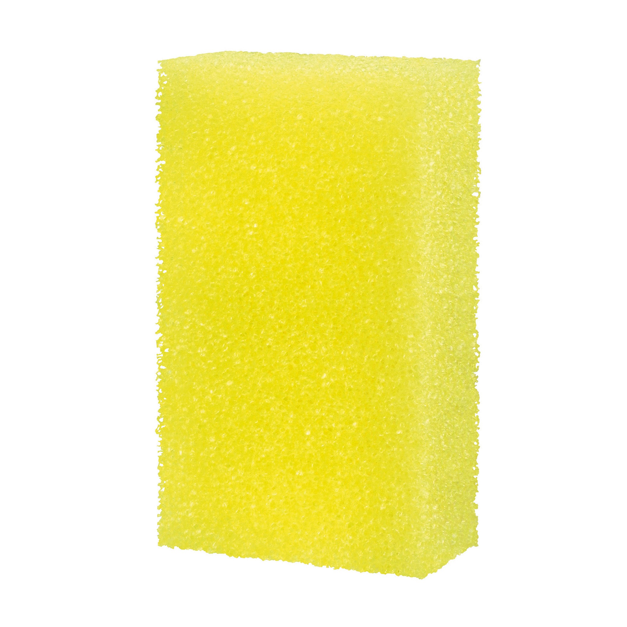 Sure Scrub™ 2 Sponge
